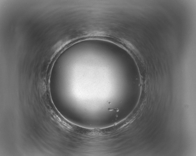 X0000080191212200612081418