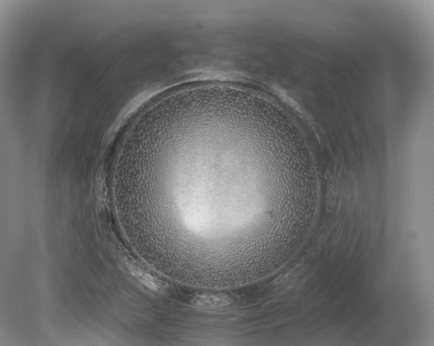 X0000080191215200612081418