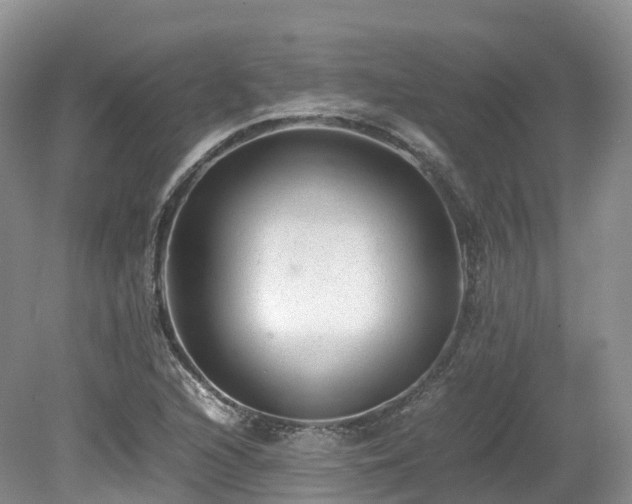 X0000080191216200612081418