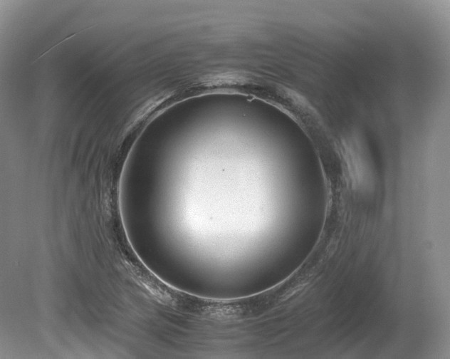 X0000080191217200612081418
