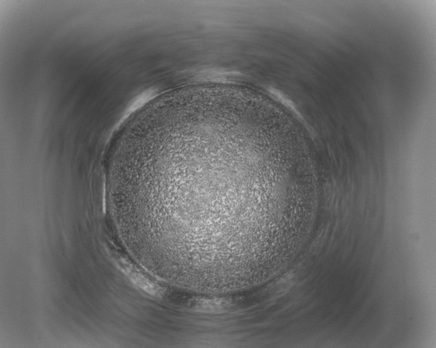 X0000080191219200612081418