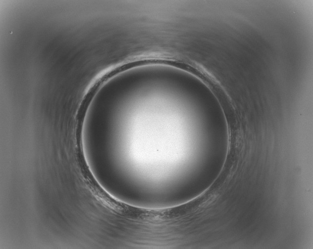 X0000080191222200612081418