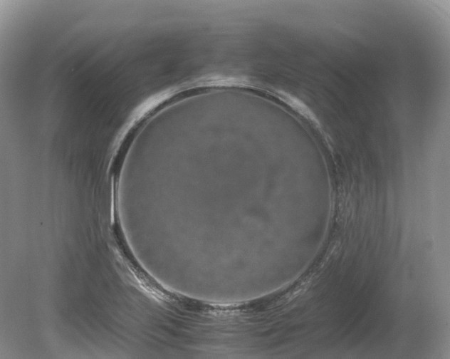X0000080191223200612081418