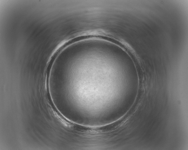 X0000080191224200612081418