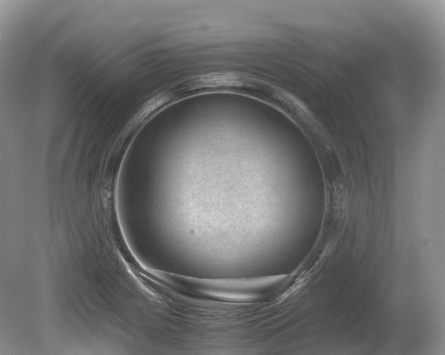 X0000080191225200612081418