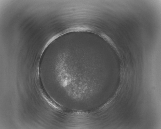 X0000080191226200612081419