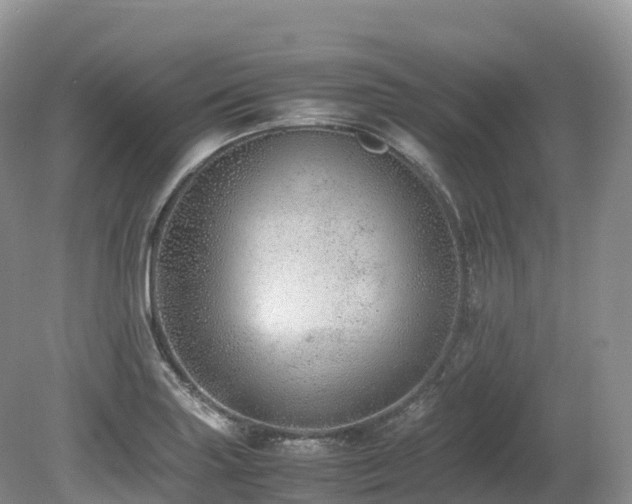 X0000080191227200612081419