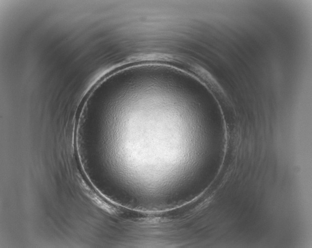 X0000080191228200612081419