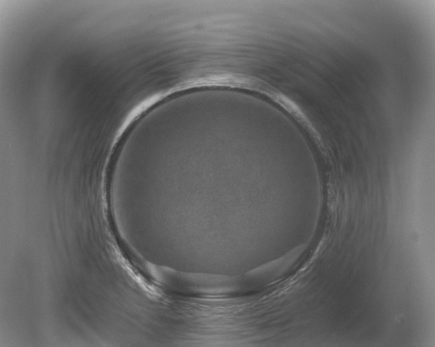 X0000080191230200612081419