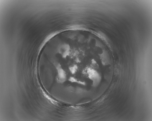 X0000080191231200612081419