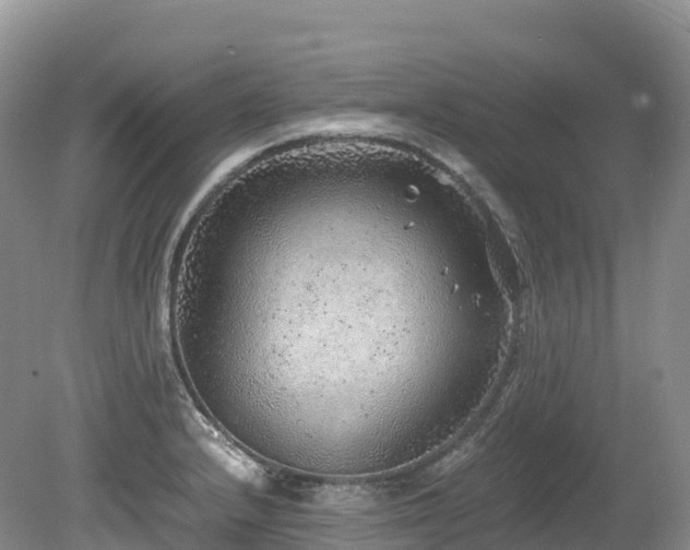 X0000080191232200612081419