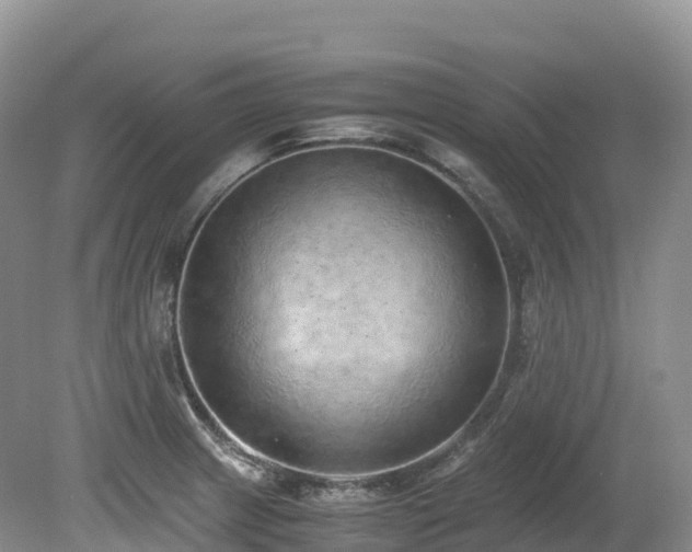 X0000080191233200612081419