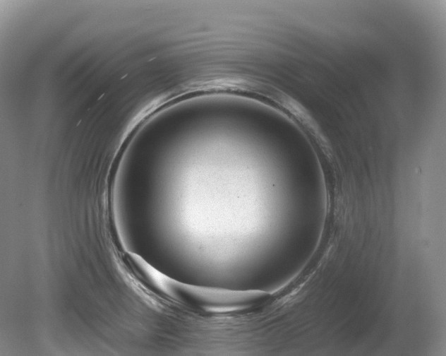 X0000080191234200612081419