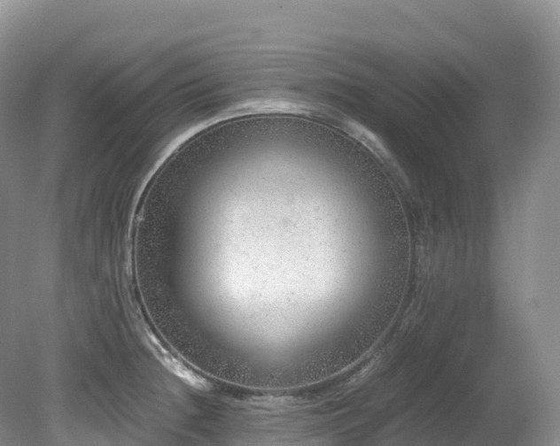 X0000080191236200612081419