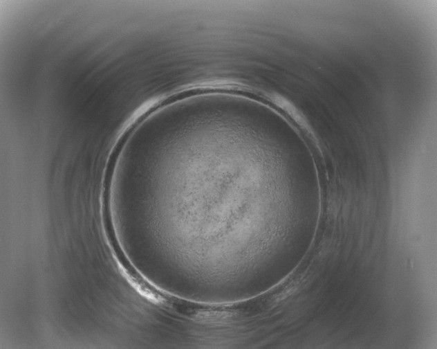 X0000080191237200612081419