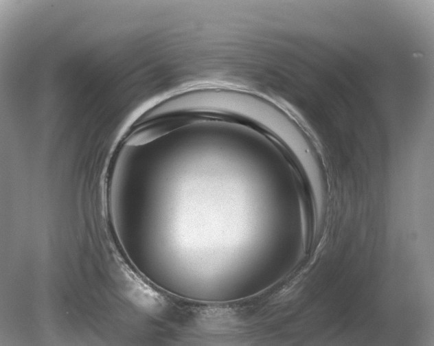 X0000080191238200612081419
