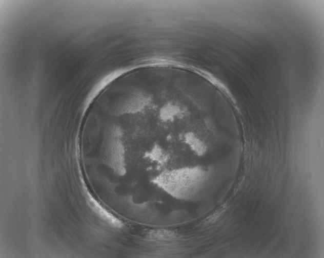 X0000080191239200612081419
