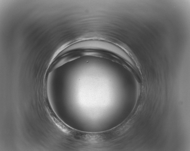 X0000080191242200612081419