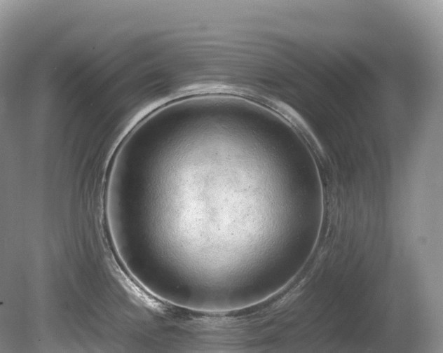 X0000080191244200612081419