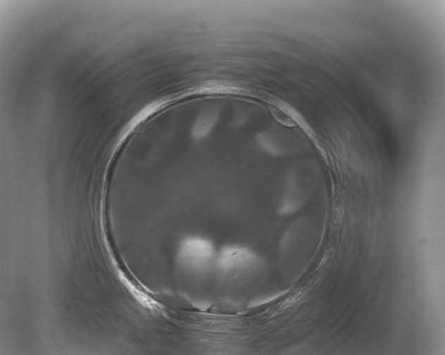 X0000080191245200612081419