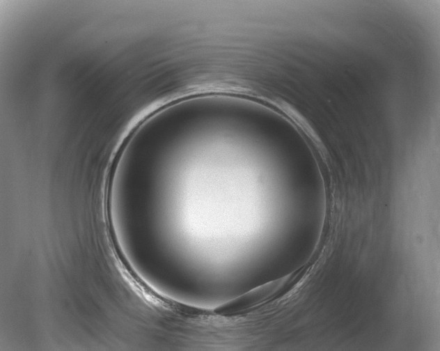 X0000080191246200612081419