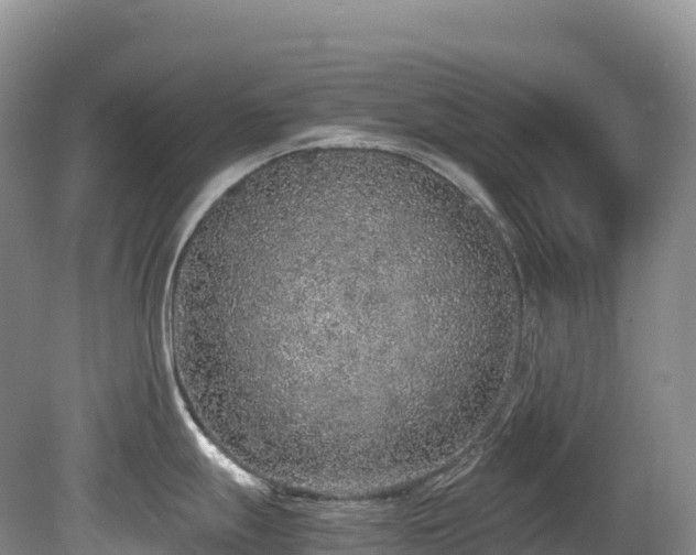 X0000080191247200612081419
