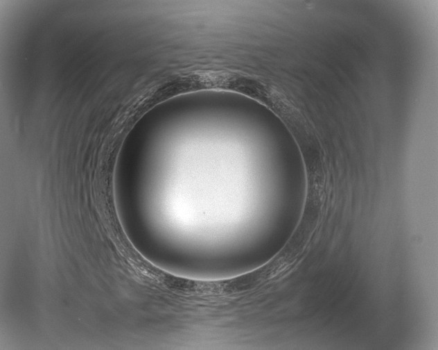 X0000080191249200612081418