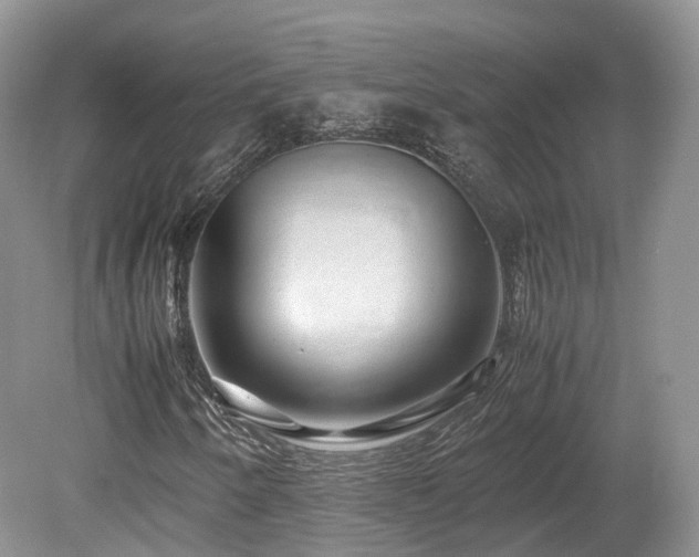 X0000080191250200612081418