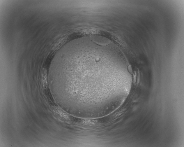 X0000080191251200612081418