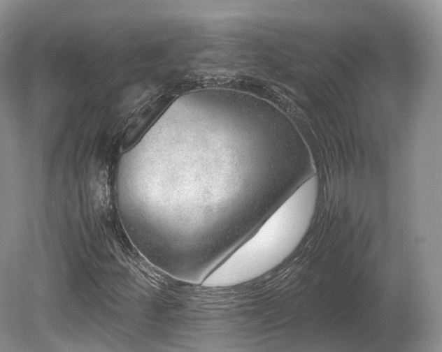 X0000080191252200612081418