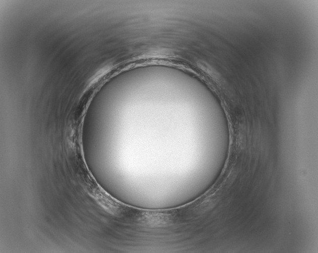 X0000080191258200612081418