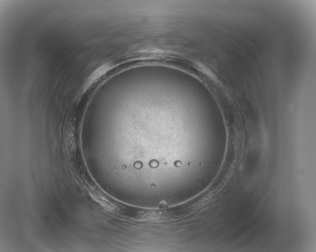 X0000080191259200612081418