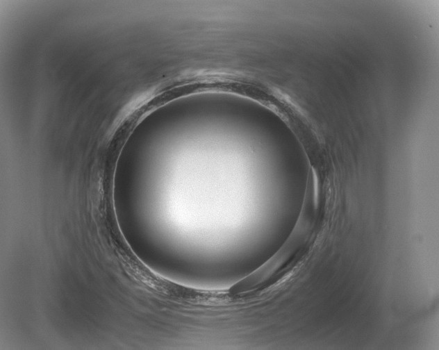 X0000080191261200612081418