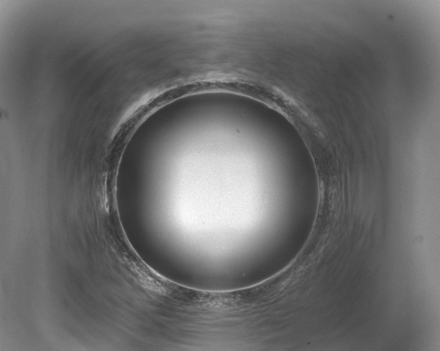 X0000080191262200612081418