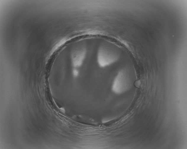 X0000080191263200612081418