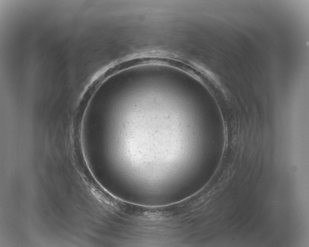 X0000080191264200612081418