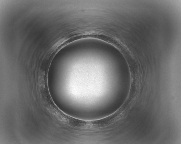 X0000080191265200612081418