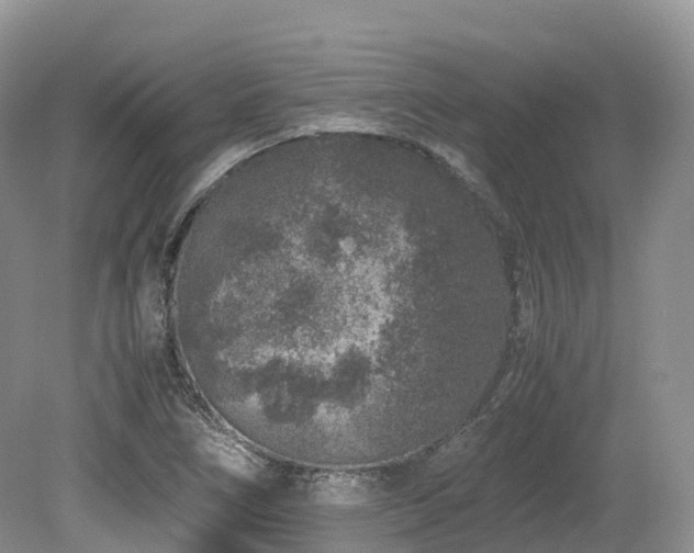 X0000080191266200612081418