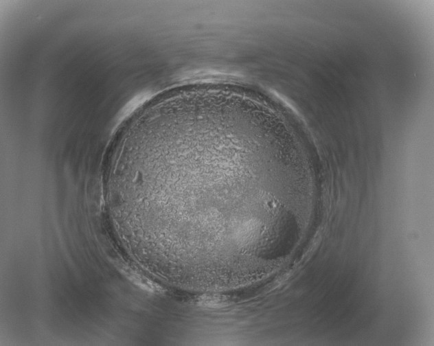 X0000080191267200612081418