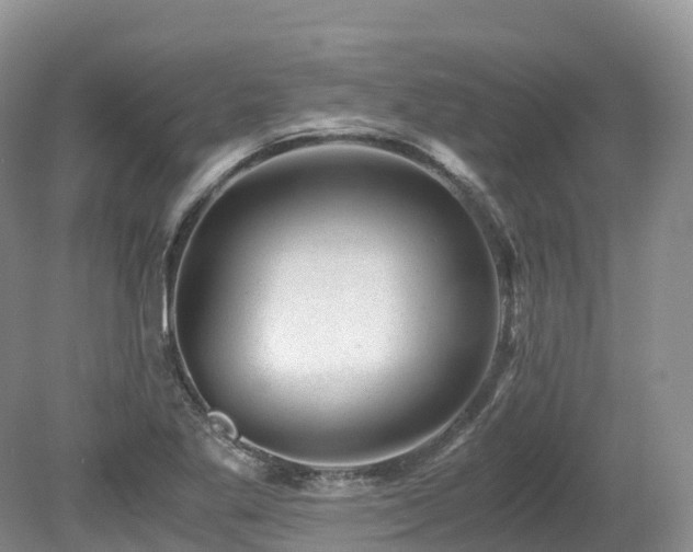 X0000080191269200612081418