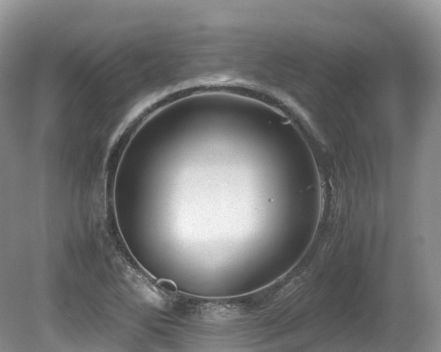 X0000080191270200612081418