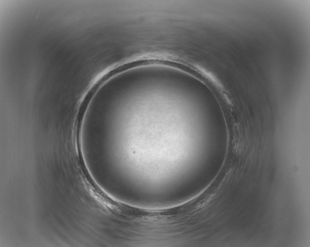 X0000080191272200612081418