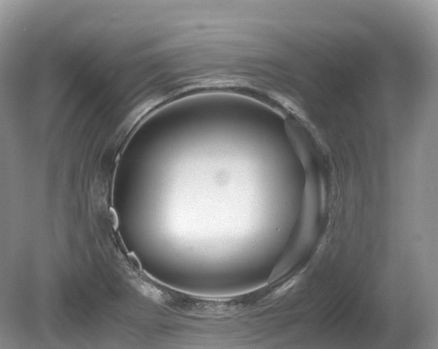 X0000080191273200612081418