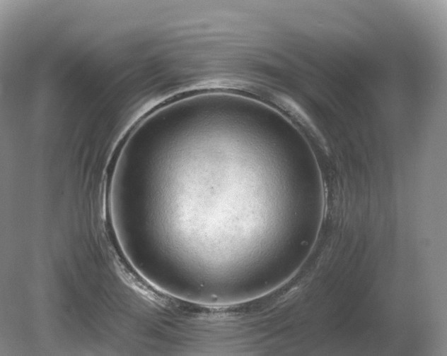 X0000080191276200612081418