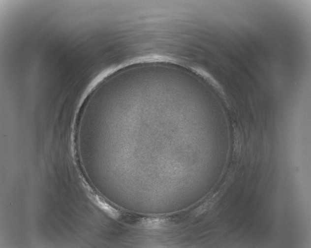 X0000080191278200612081418