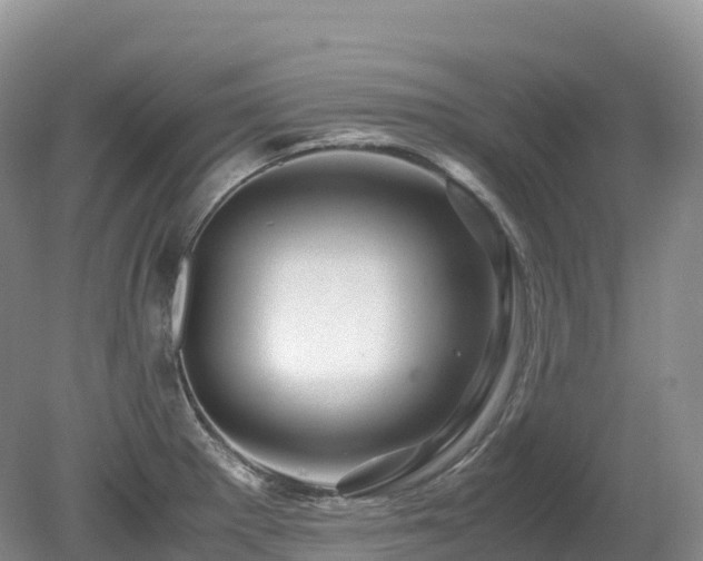 X0000080191281200612081418