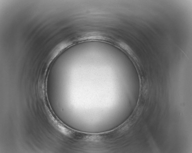 X0000080191282200612081418