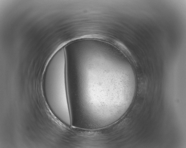 X0000080191284200612081417