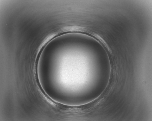 X0000080191285200612081417