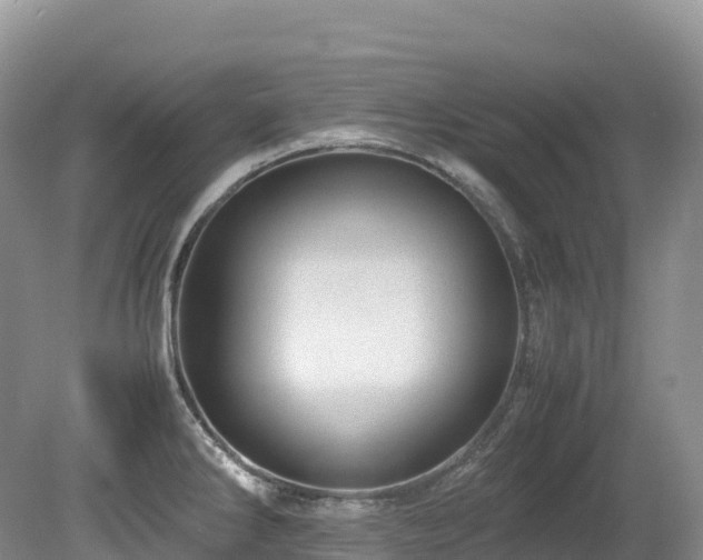 X0000080191286200612081417